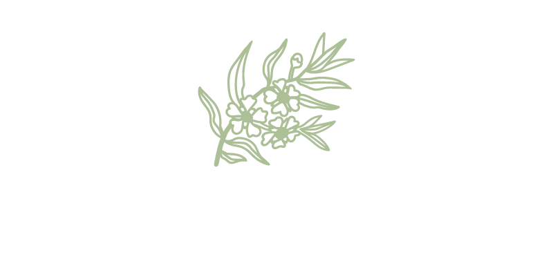 Hā Naturally logo icon - New Zealand native flora manuka illustration